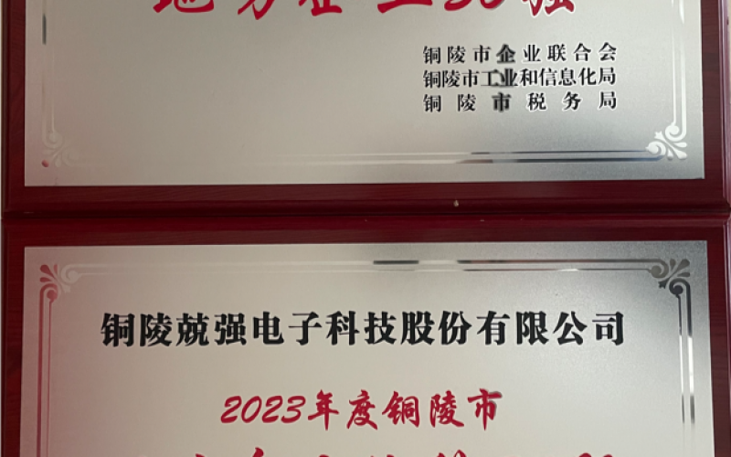 我公司榮獲2023年度銅陵市“地方企業(yè)50強”“地方企業(yè)納稅30強”兩項榮譽